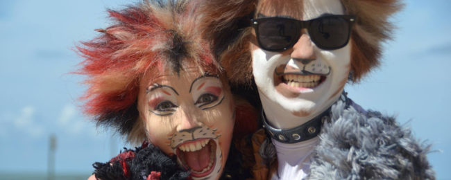 Twee castleden Cats aanwezig op de Antwerpse Cultuurmarkt