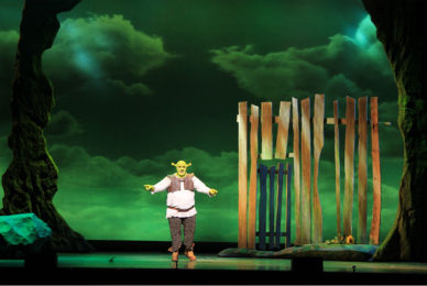 Scènefoto van Shrek de Musical (2012)