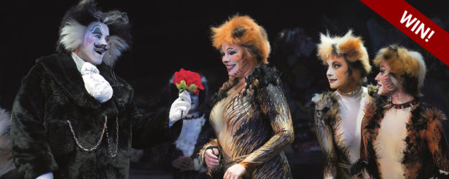 Valentijnsdag: Win twee kaarten voor Cats!