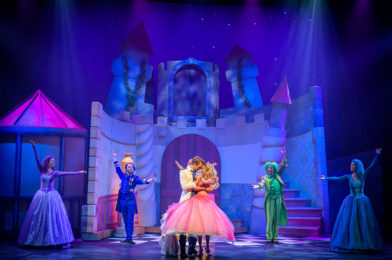 Scènefoto van Doornroosje de Musical (2019)