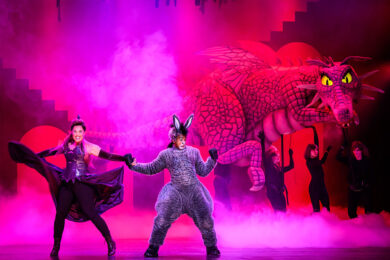 Scènefoto van Shrek de Musical (2024)
