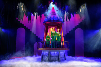 Scènefoto van Shrek de Musical (2024)