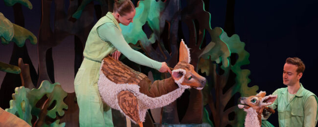 Bekijk de trailer van Bambi de Musical